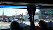 C_SANDELL_3428.jpg