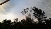C_SANDELL_3454.jpg