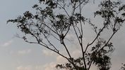 C_SANDELL_3455.jpg