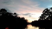 C_SANDELL_3457.jpg