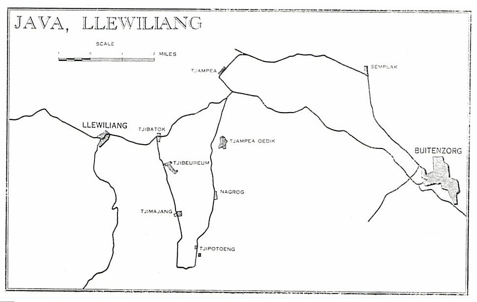 LlewiliangJava.jpg
