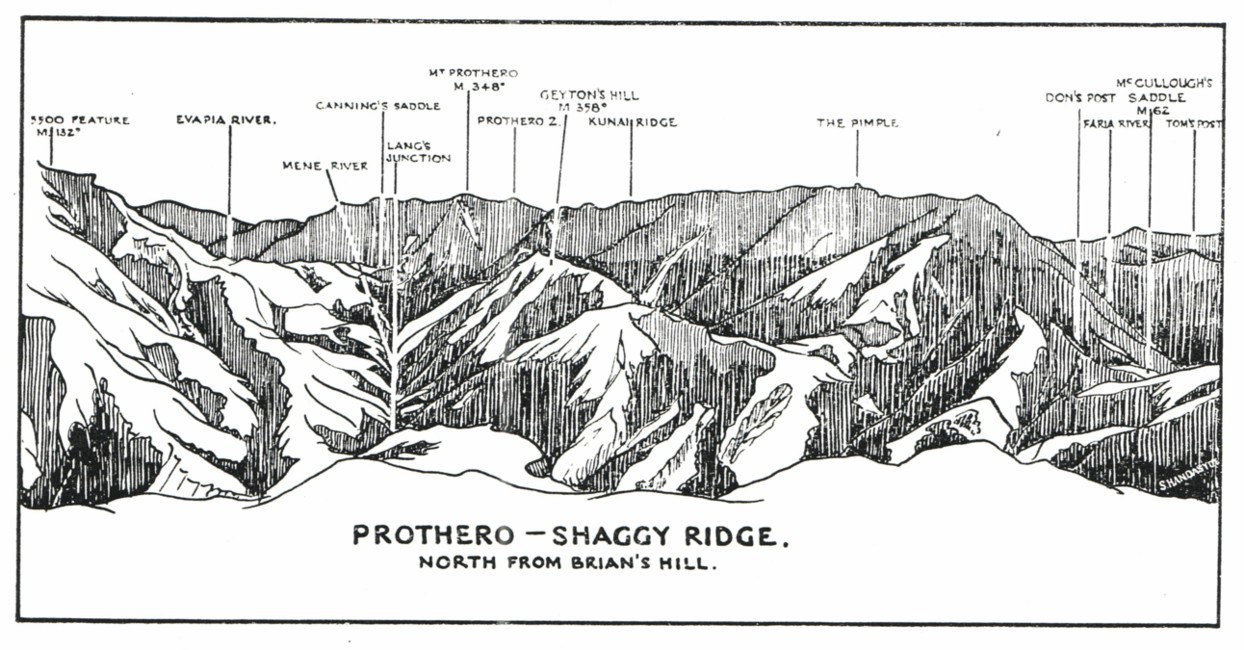 ShaggyRidgeProfile.jpg