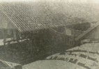 AWM_030391/02.jpg